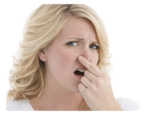 Geruechebeseitigung_Gebaude 